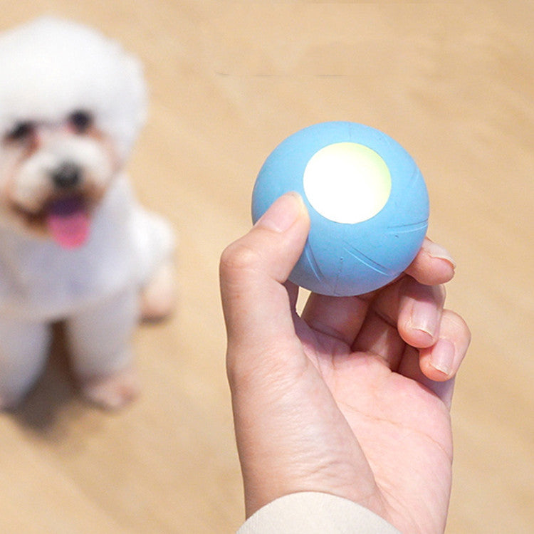 Interactive Cat Toy for Active Play and Mental Stimulation