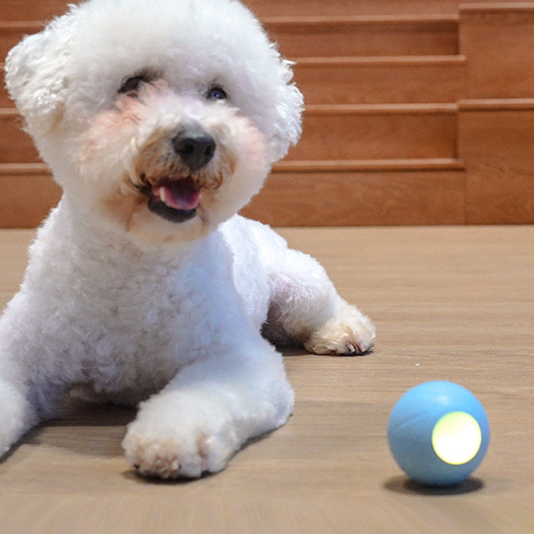 Interactive Cat Toy for Active Play and Mental Stimulation